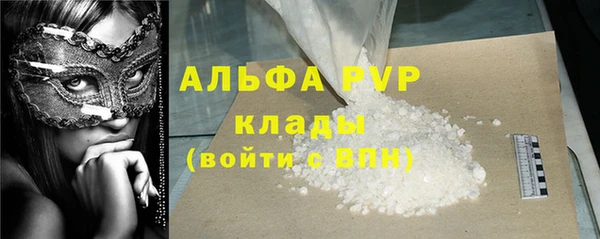 хмурый Аркадак