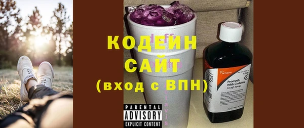 хмурый Аркадак