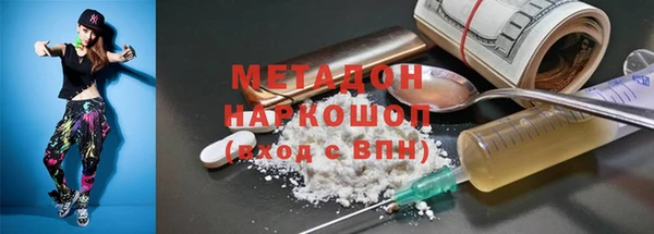 хмурый Аркадак