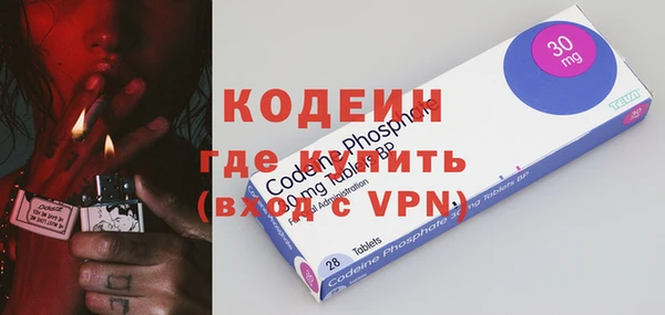 хмурый Аркадак