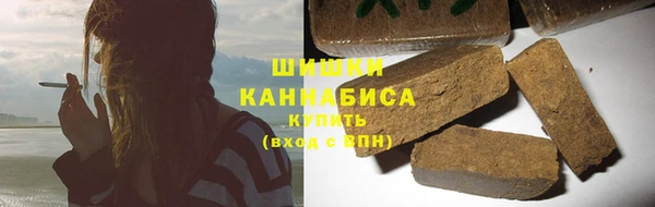 хмурый Аркадак