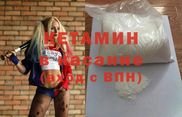 хмурый Аркадак