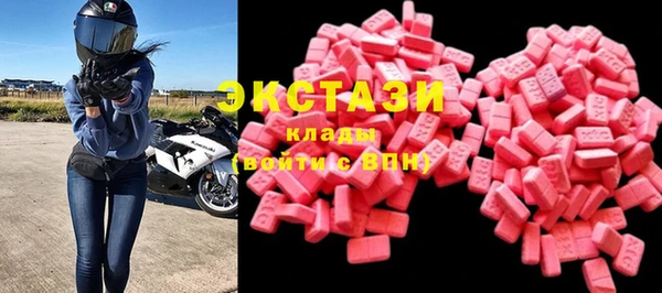 хмурый Аркадак
