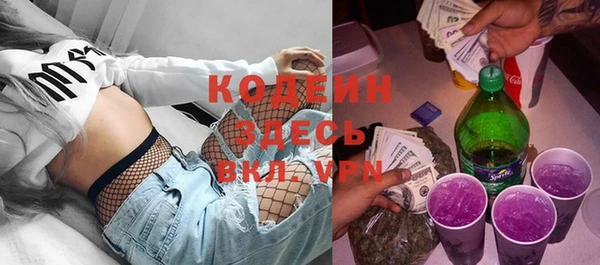 хмурый Аркадак