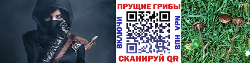Псилоцибиновые грибы мухоморы  MEGA рабочий сайт  Солигалич 