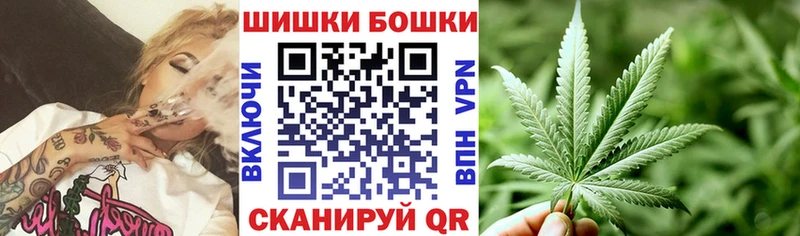 где купить наркоту  Солигалич  Бошки Шишки OG Kush 